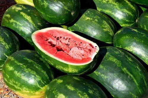 瓜如何吃更更美味视频,解锁美味瓜食的秘诀技巧 瓜如何吃更更美味视频,解锁美味瓜食的秘诀技巧