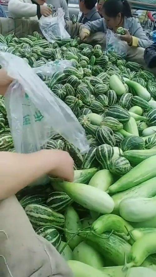 街道吃瓜视频大全,吃瓜视频大全精选回顾 街道吃瓜视频大全,吃瓜视频大全精选回顾