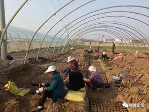 界首市吃瓜事件视频最新,一场引发热议的网络风波 界首市吃瓜事件视频最新,一场引发热议的网络风波