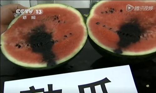 吃注水瓜的视频,视频揭示惊人内幕 吃注水瓜的视频,视频揭示惊人内幕