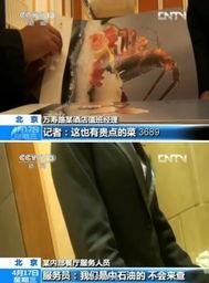 中石油吃瓜视频,揭秘职场八卦背后的真相