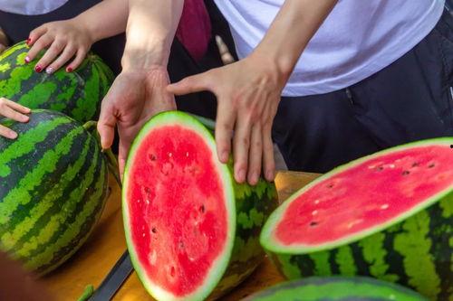 各自大学吃瓜的视频